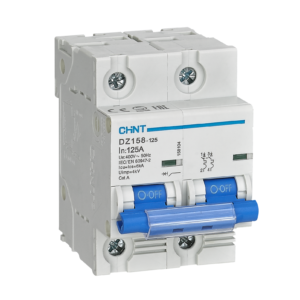 CHINT DZ158-125 100A 2 POLE